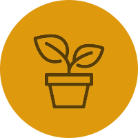 Plants